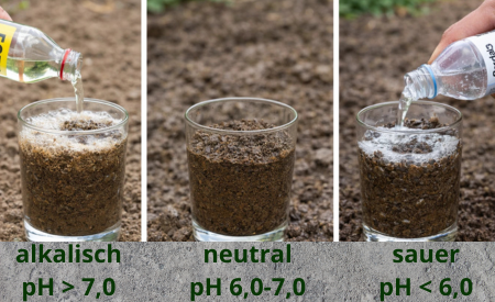 Névtelen (450 x 275 képpont) másolata (1)